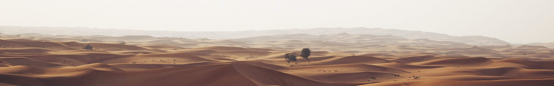 ɽú޹˾̻еֹ˾